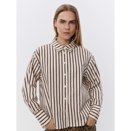 Shirt S243175 Brown Striped